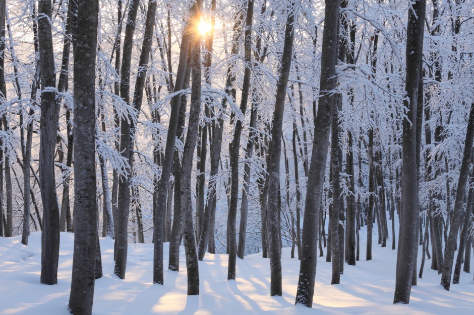 美人林（冬）日の出
