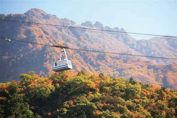 八峰紅葉ロープウェー