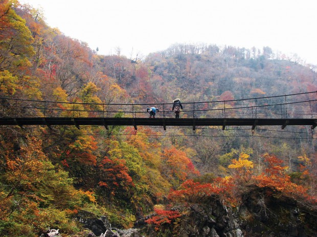 写真は見倉橋