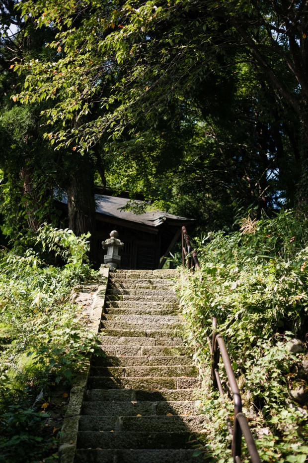 裏山 入り口の石段