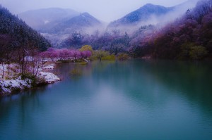 春の赤谷湖