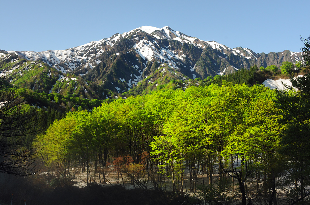 残雪の越後駒ヶ岳