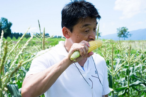 トウモロコシにかぶりつく