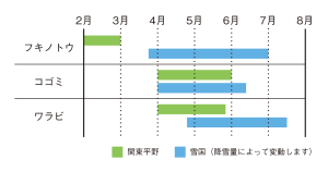 関東平野と雪国の山菜の収穫時期