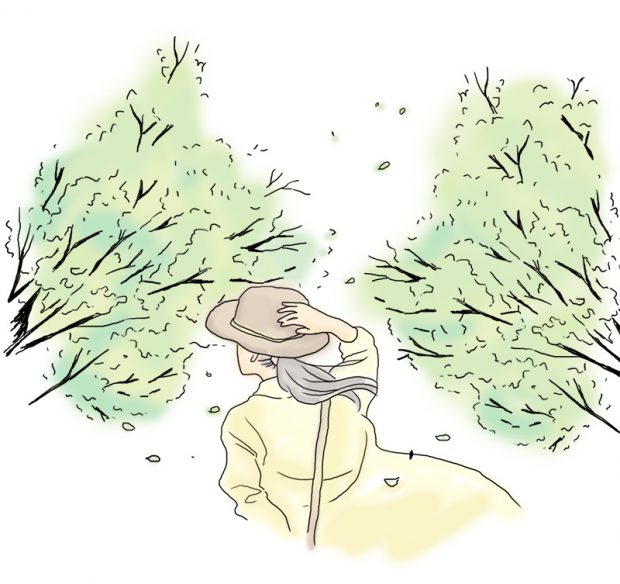 森の中を歩く女性のイラスト